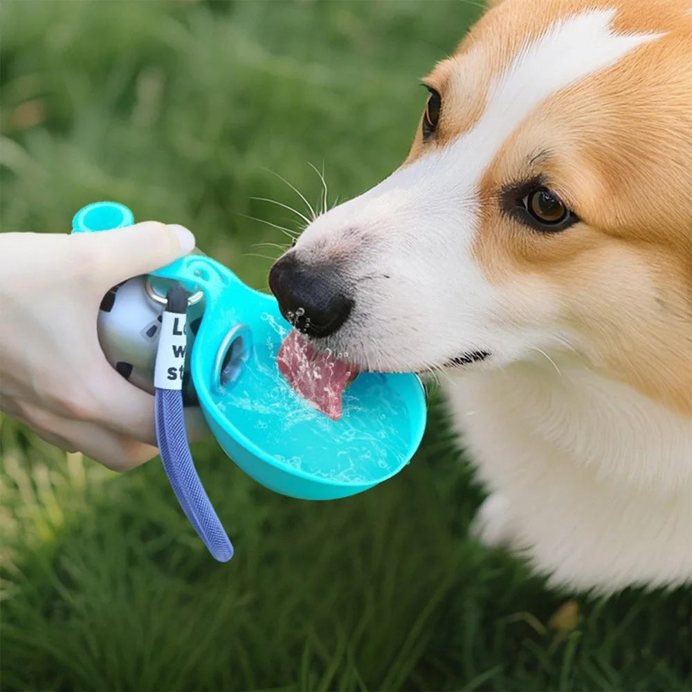 Gourde de Voyage pour Chien – 285 ml, Acier Inoxydable & Bol Silicone Anti-Fuite